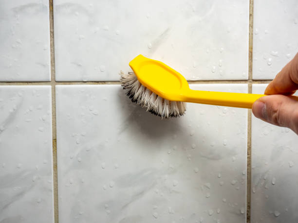 Best Mold Remediation  in Buckner, MO