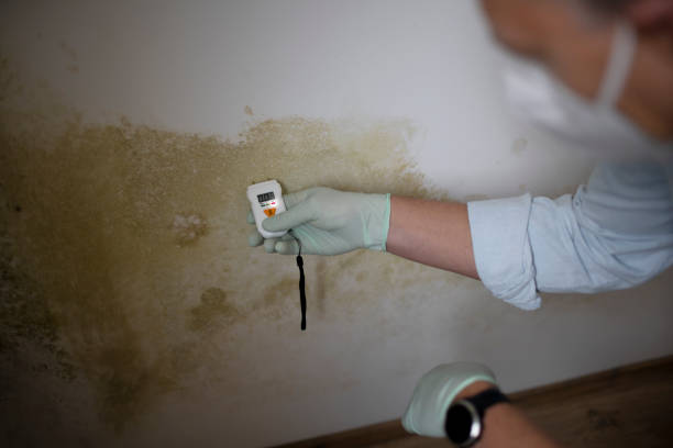 Best Crawl Space Mold Removal  in Buckner, MO